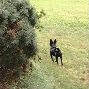 Meet your Posher, Vee